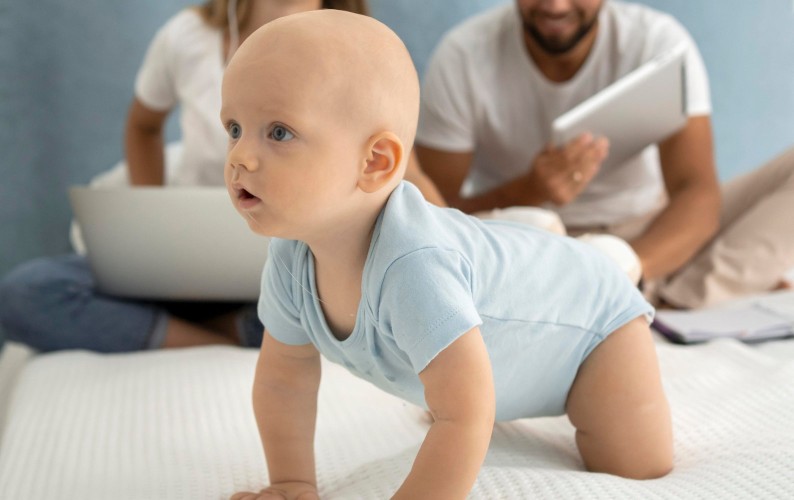 F.O.K. cursus 2025-2026